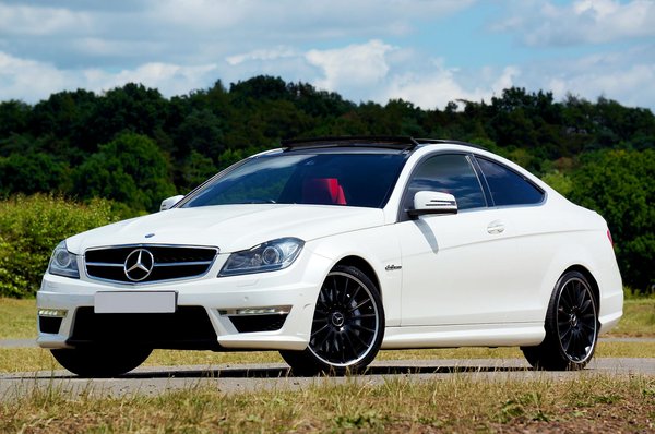 What should you know about UK pet adoption processes?